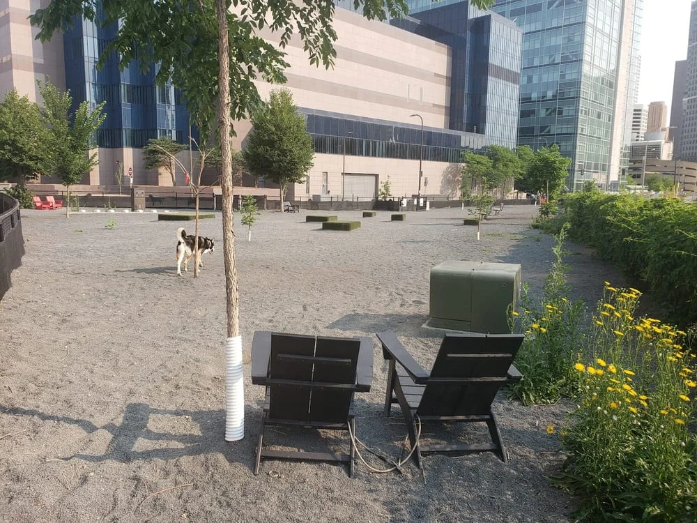 Gateway Dog Park, photo 3