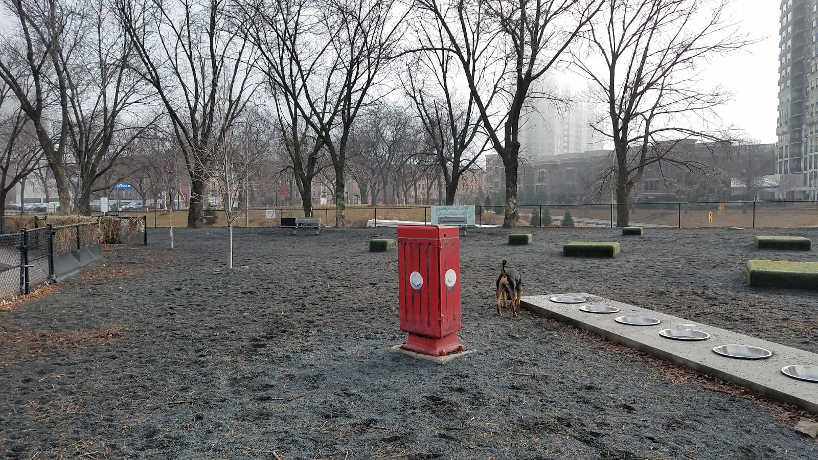 Gateway Dog Park, photo 3