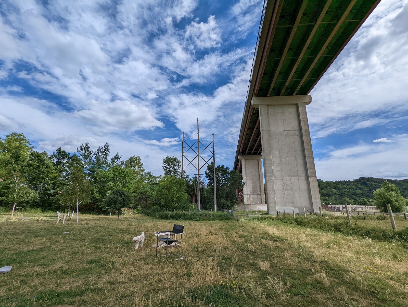 High Bridge Dog Park