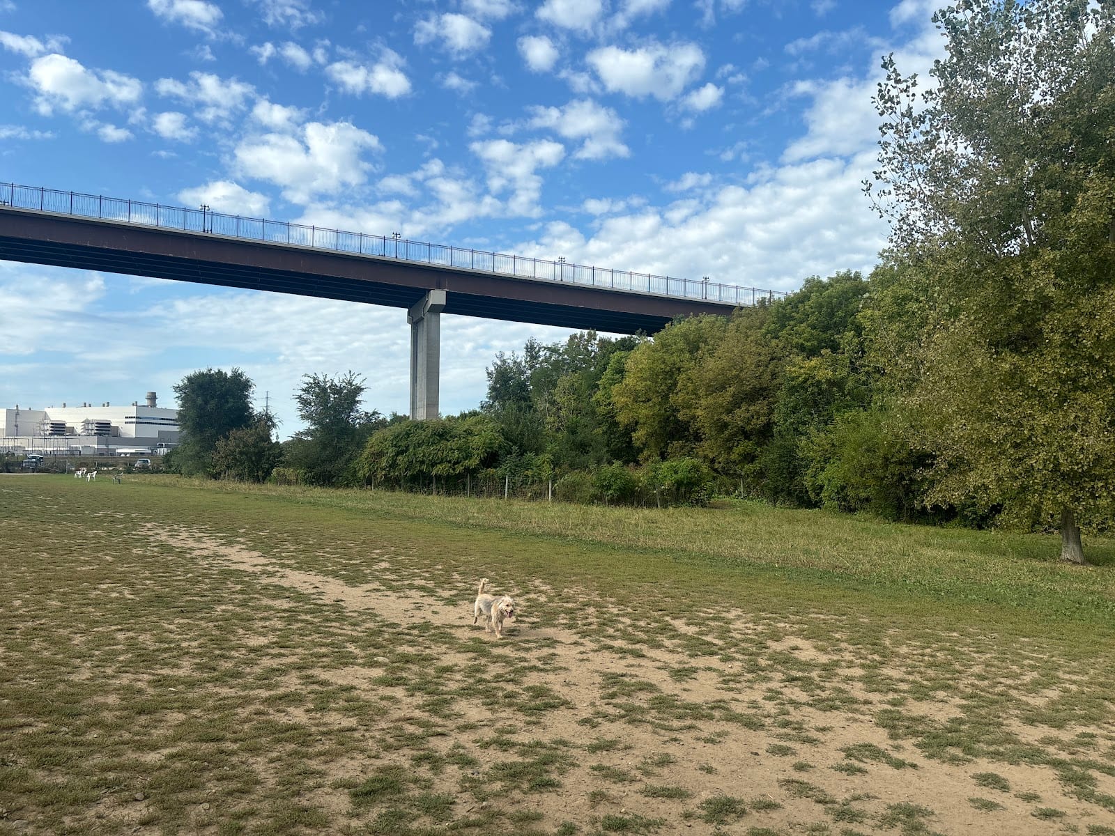 High Bridge Dog Park, photo 2