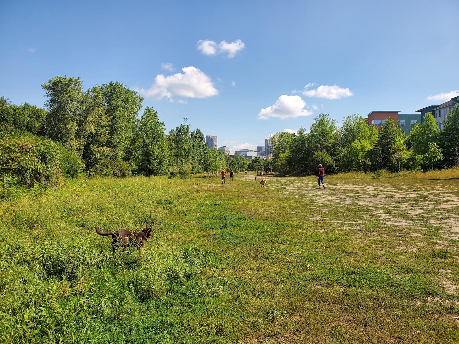 High Bridge Dog Park, photo 3