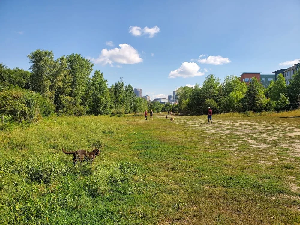 High Bridge Dog Park, photo 3