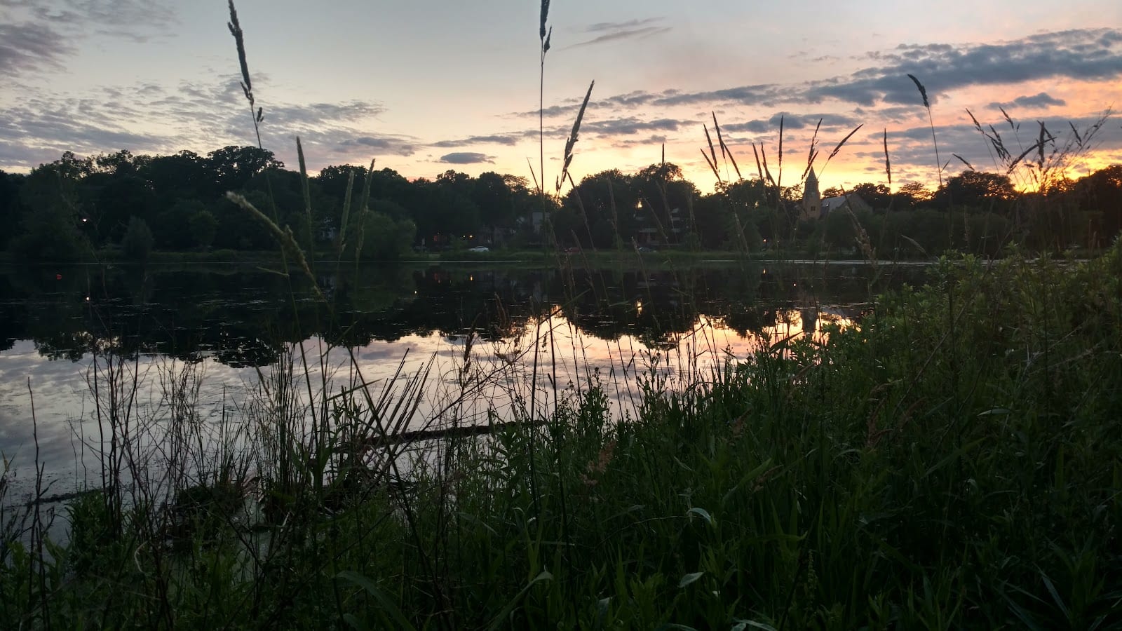 Lake of the Isles Dog Park