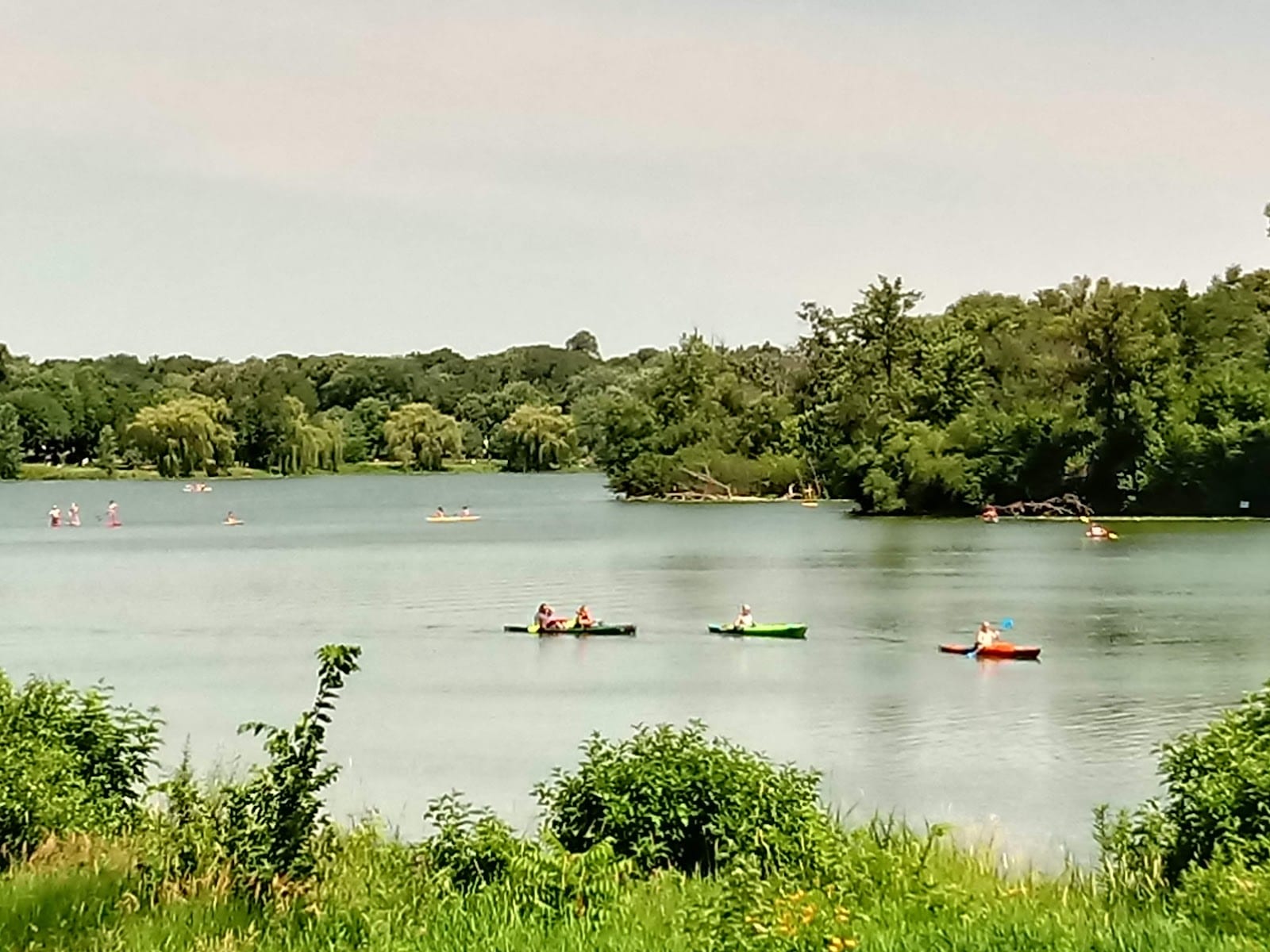 Lake of the Isles Dog Park, photo 2