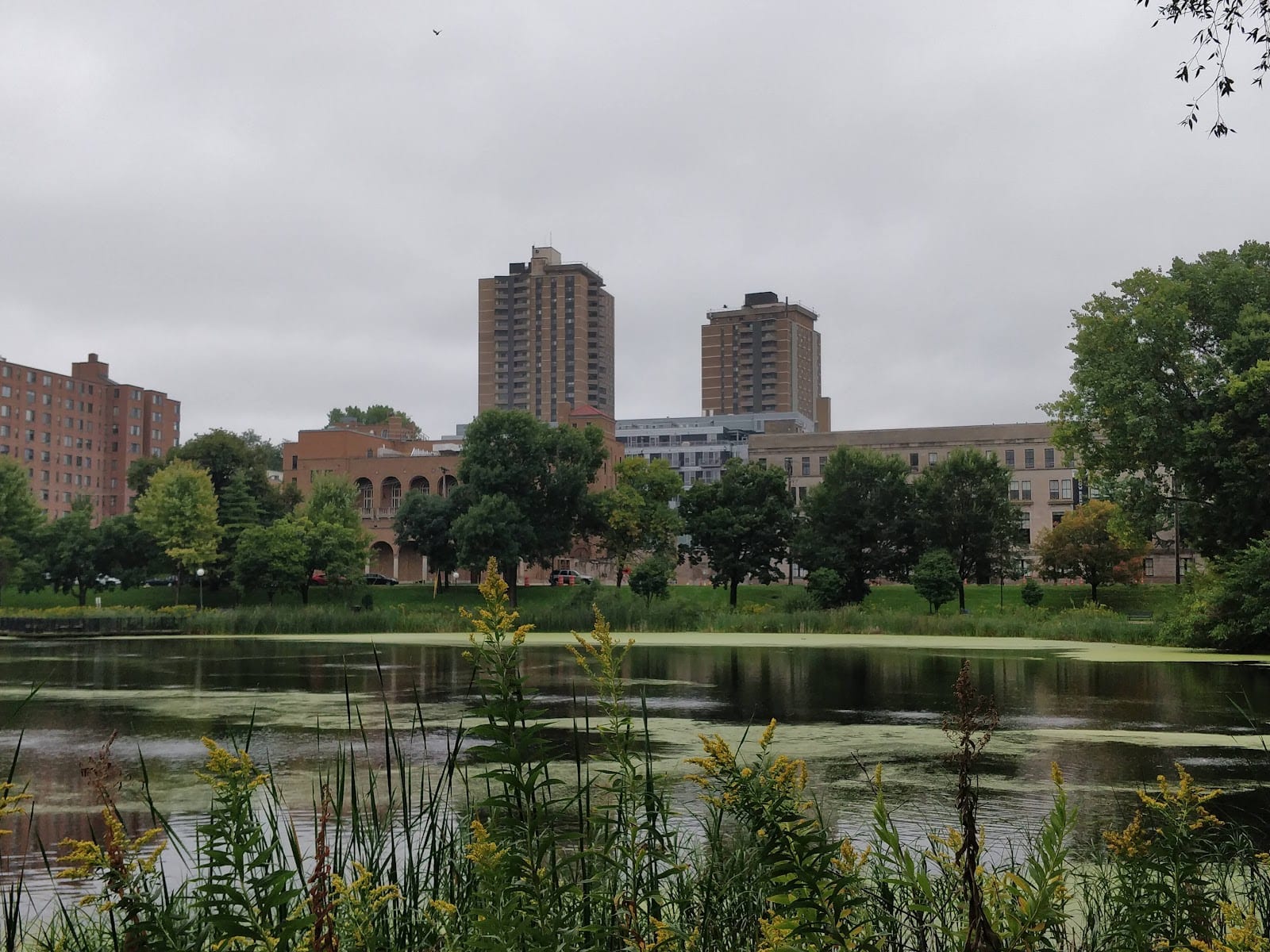 Loring Park Dog Park