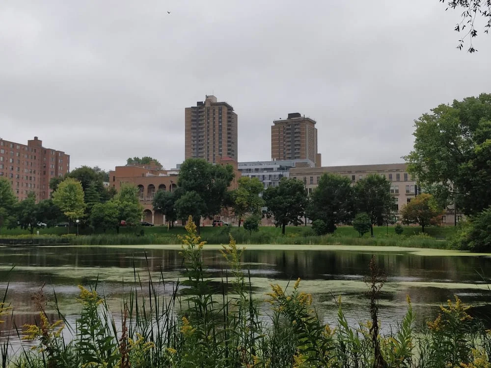 Loring Park Dog Park, photo 2