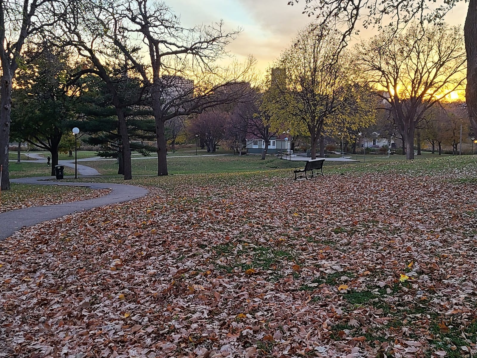 Loring Park Dog Park, photo 3