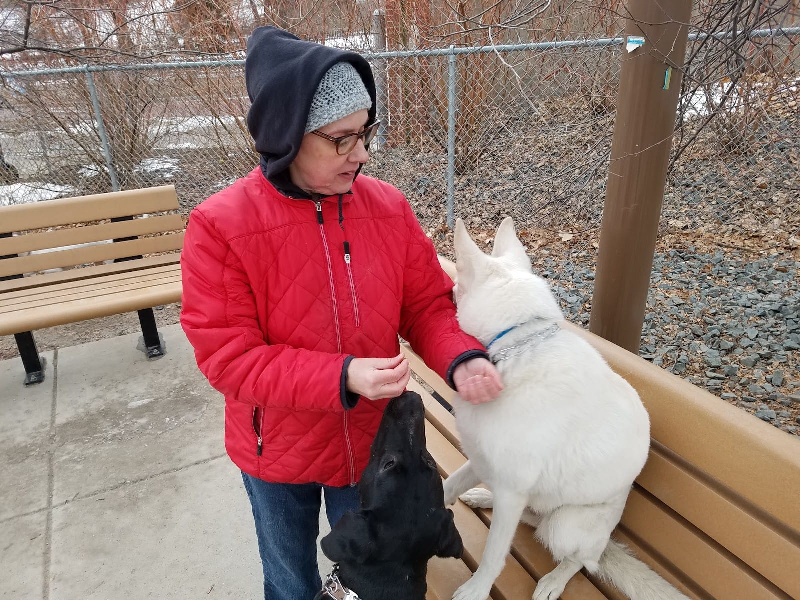 Lyndale Farmstead Dog Park, photo 2