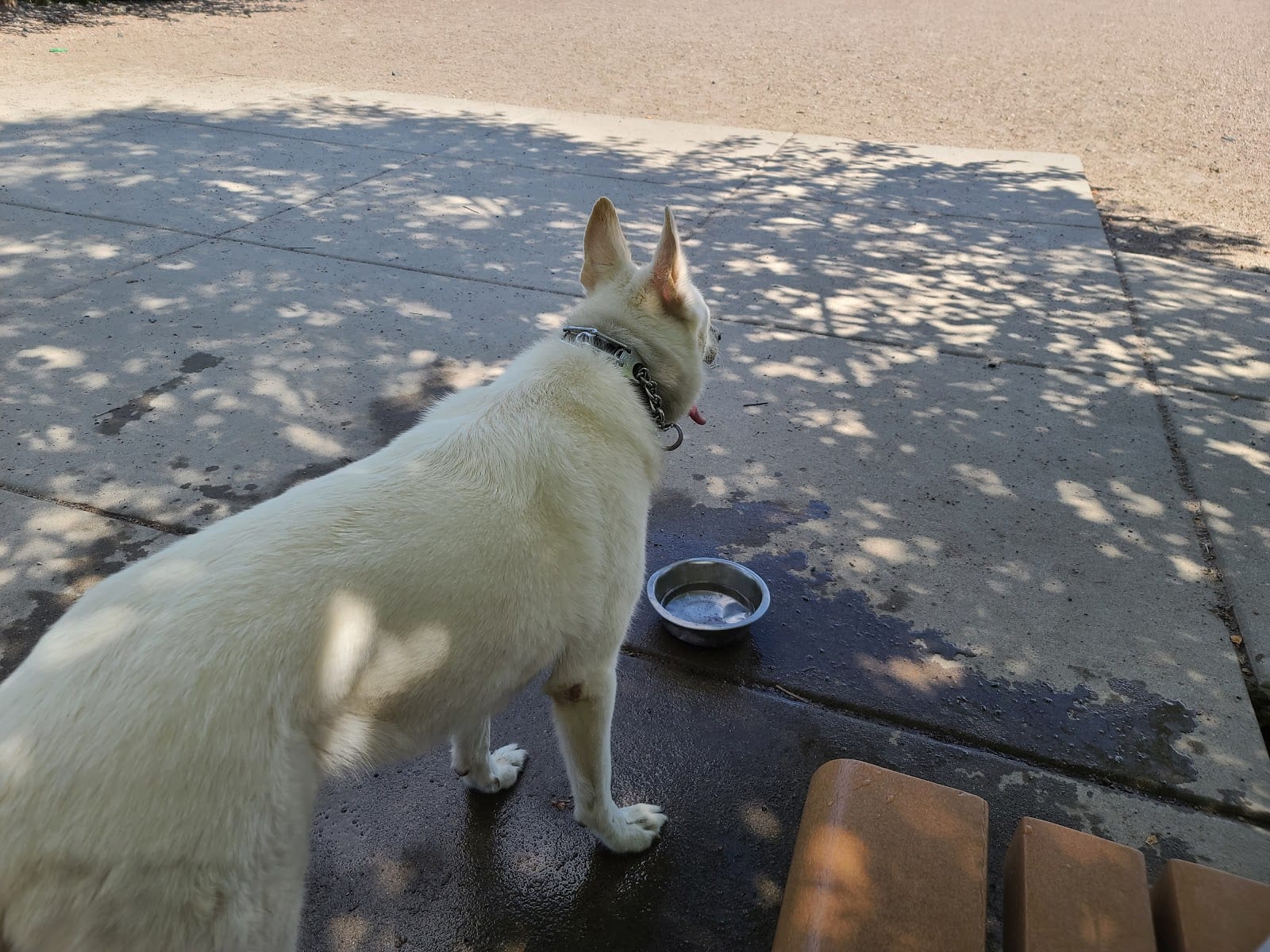 Lyndale Farmstead Dog Park, photo 3