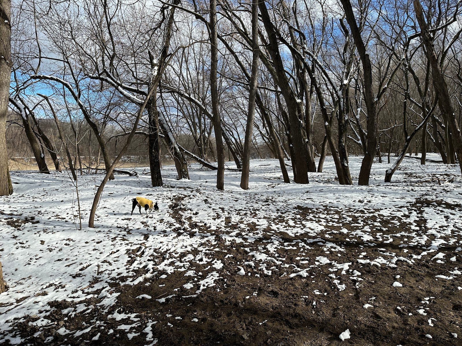 Minnehaha Dog Park, photo 2