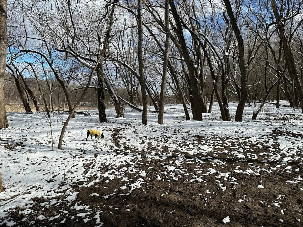 Minnehaha Dog Park, photo 3