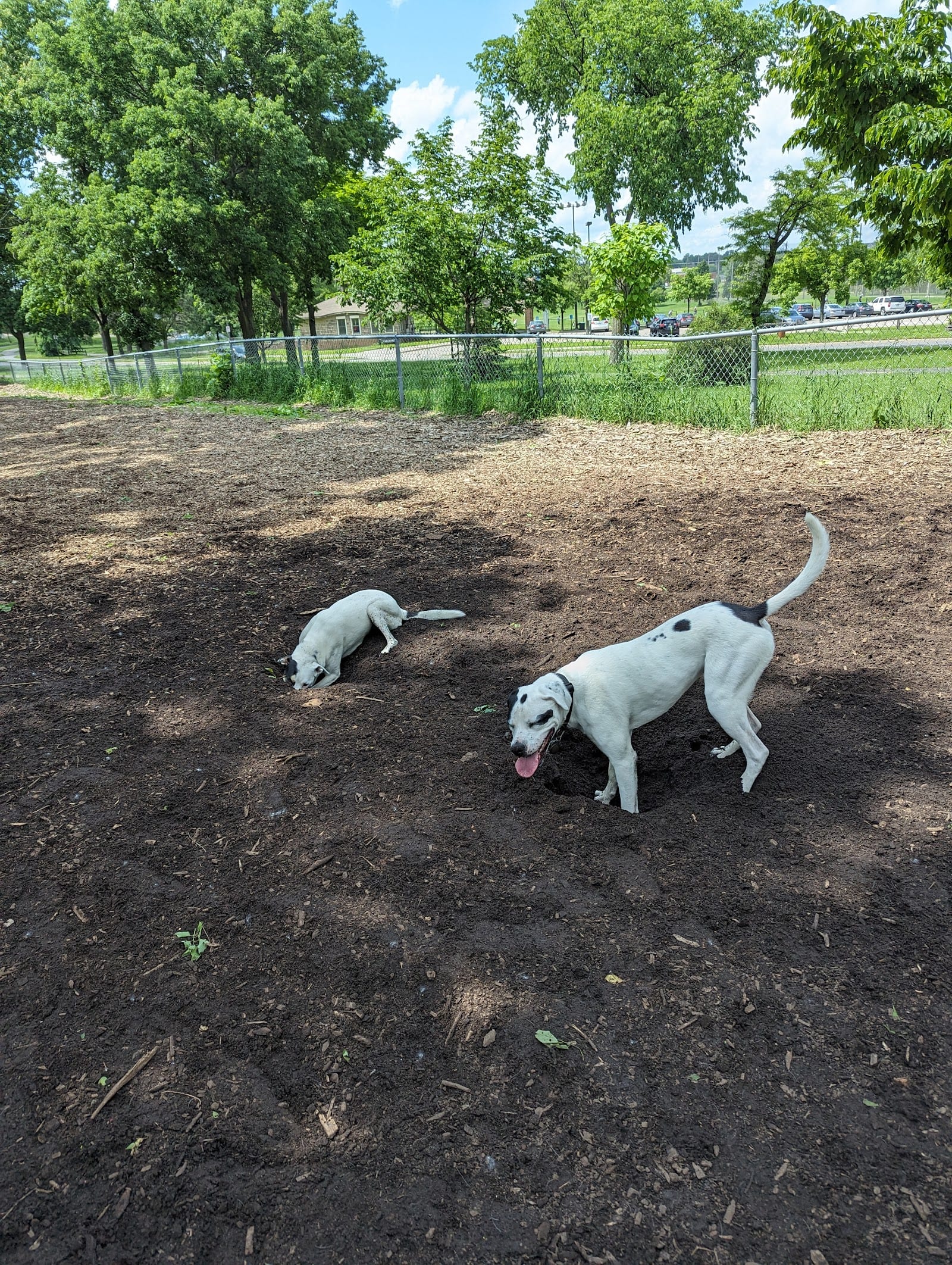 St. Anthony Parkway Off-Leash Dog Park