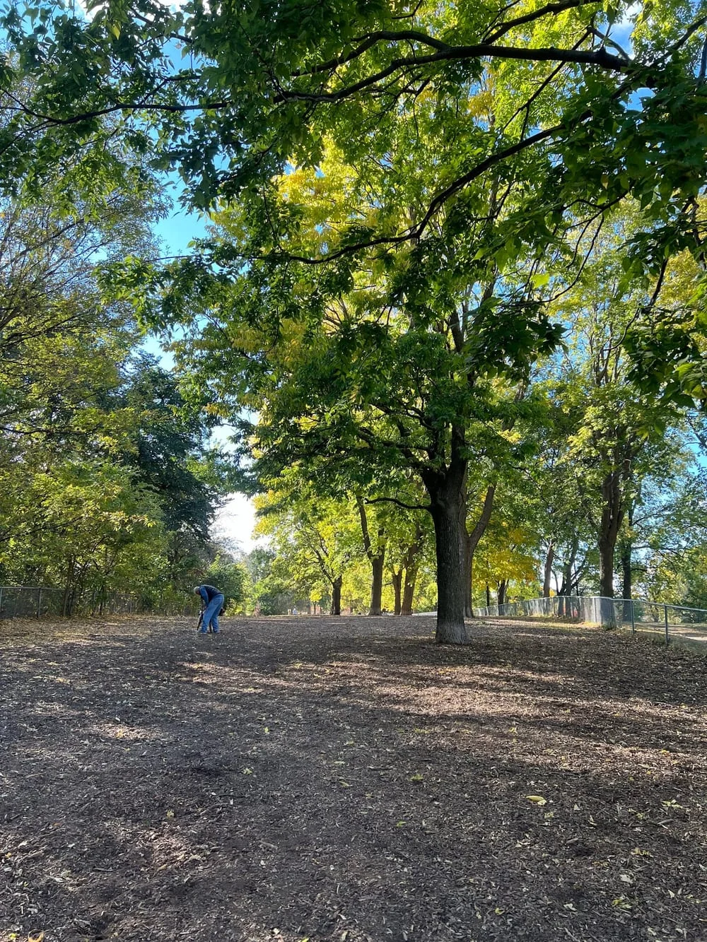 St. Anthony Parkway Off-Leash Dog Park, photo 3