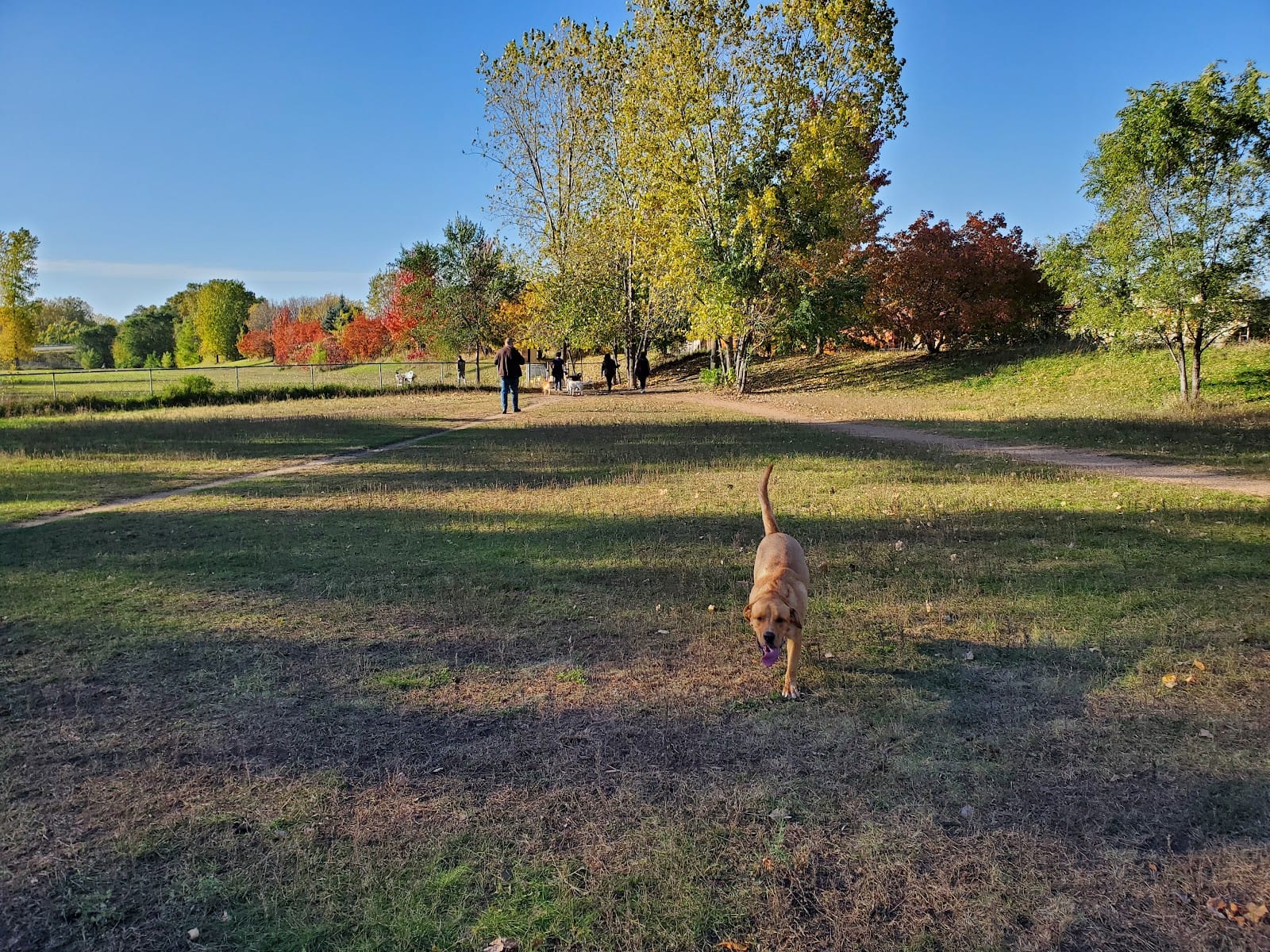 Victory Prairie Off-Leash Recreation Area, photo 2