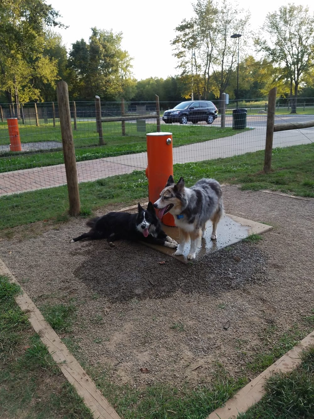 Bark Springs Dog Park Smyrna TN, photo 3