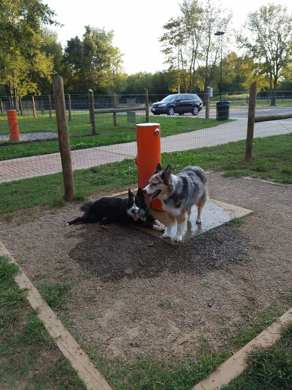 Bark Springs Dog Park, photo 3