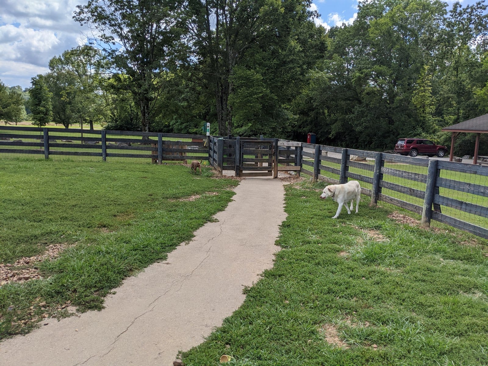 Edwin Warner Dog Park