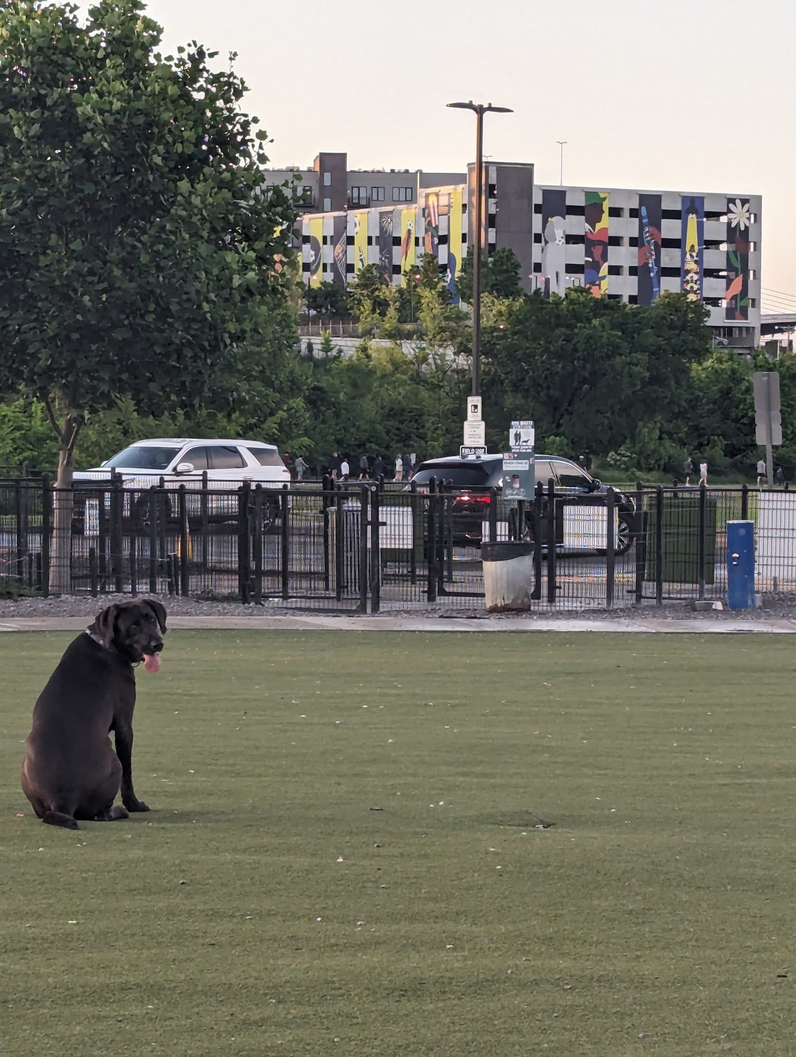 Fair Park Dog Park