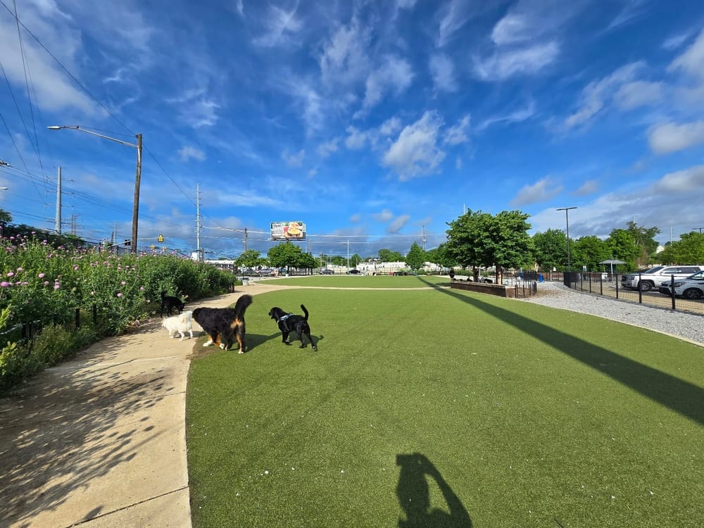 Fair Park Dog Park, photo 2
