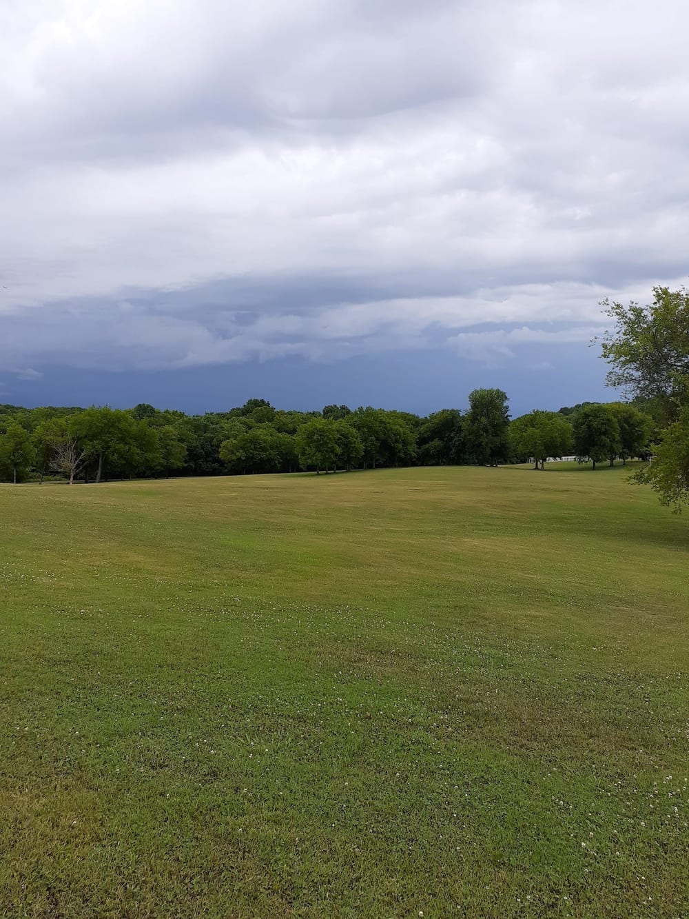 Fenway's Dog Park, photo 2