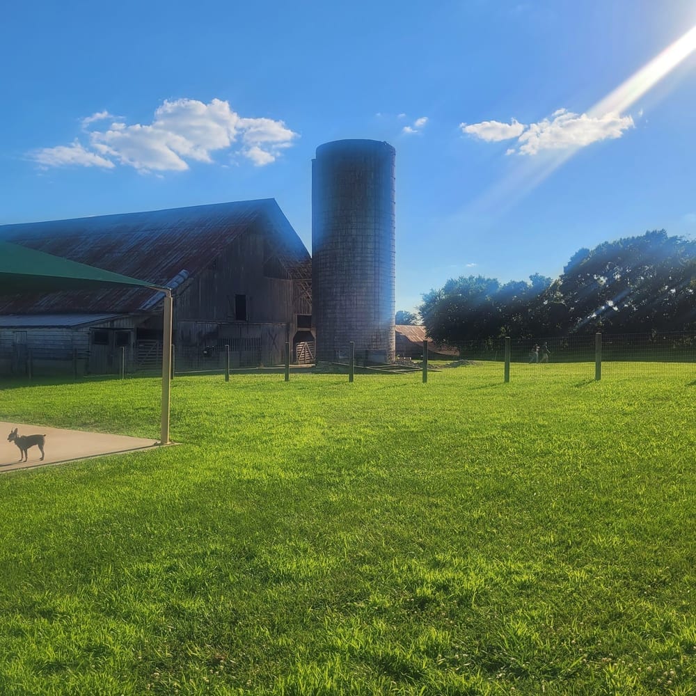 K-9 Korral Dog Park, photo 2