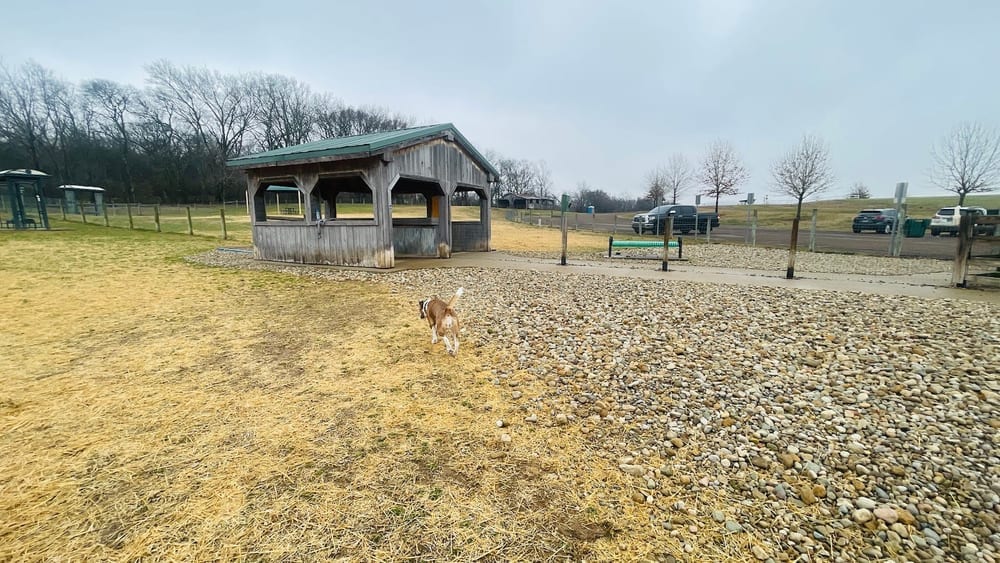 K-9 Korral Dog Park, photo 3