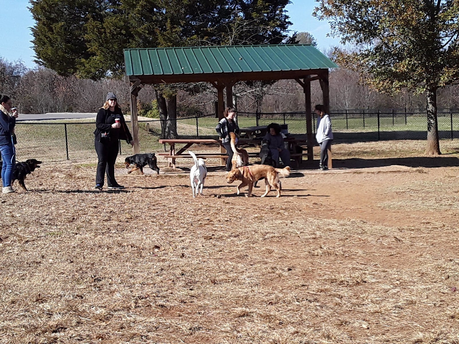 Murfreesboro Bark Park