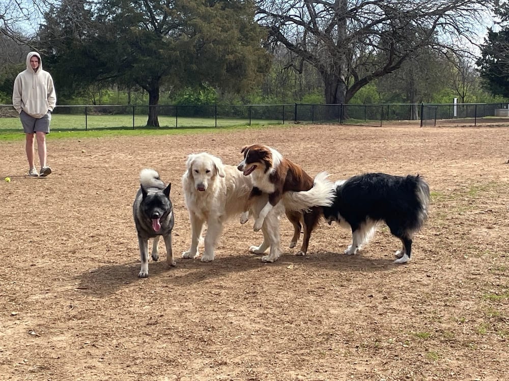 Murfreesboro Bark Park, photo 2