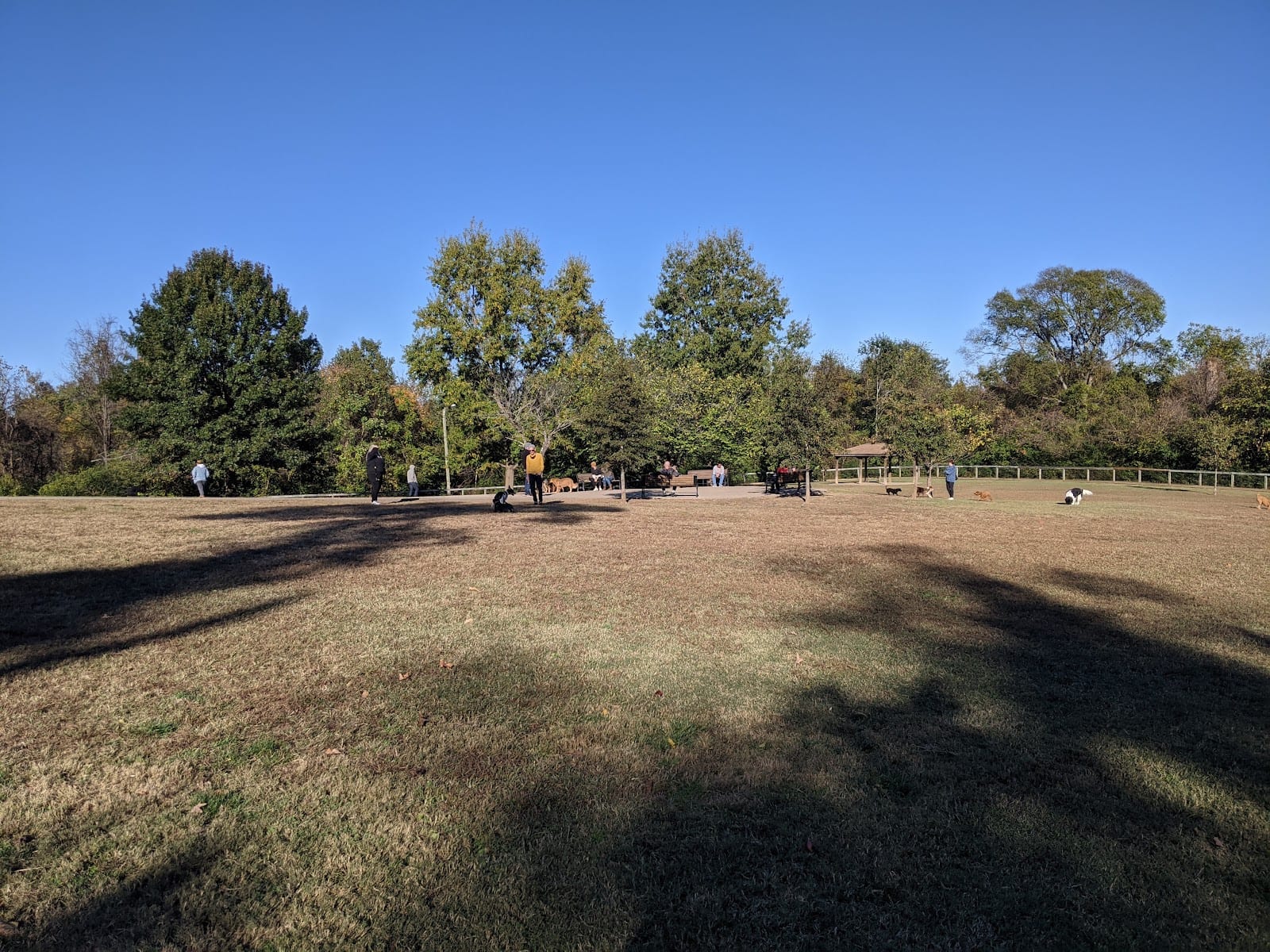 Shelby Dog Park