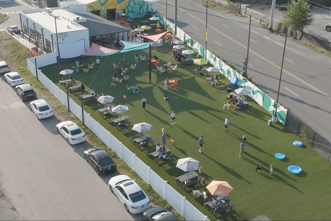 Urban Dog Bar