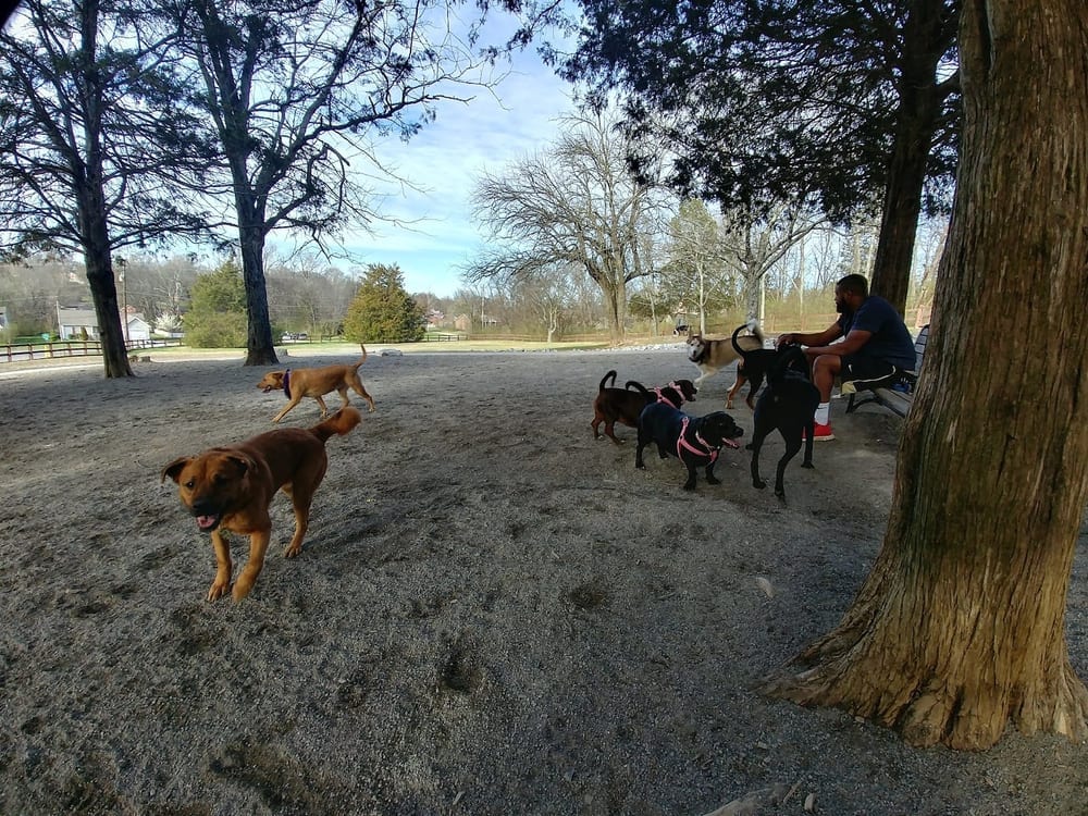 William A. Pitts Park, photo 3