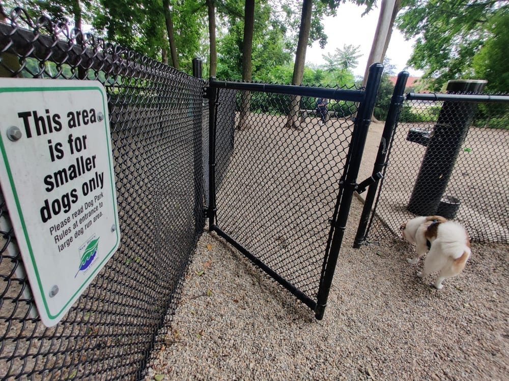 East Rock Dog Park, photo 2