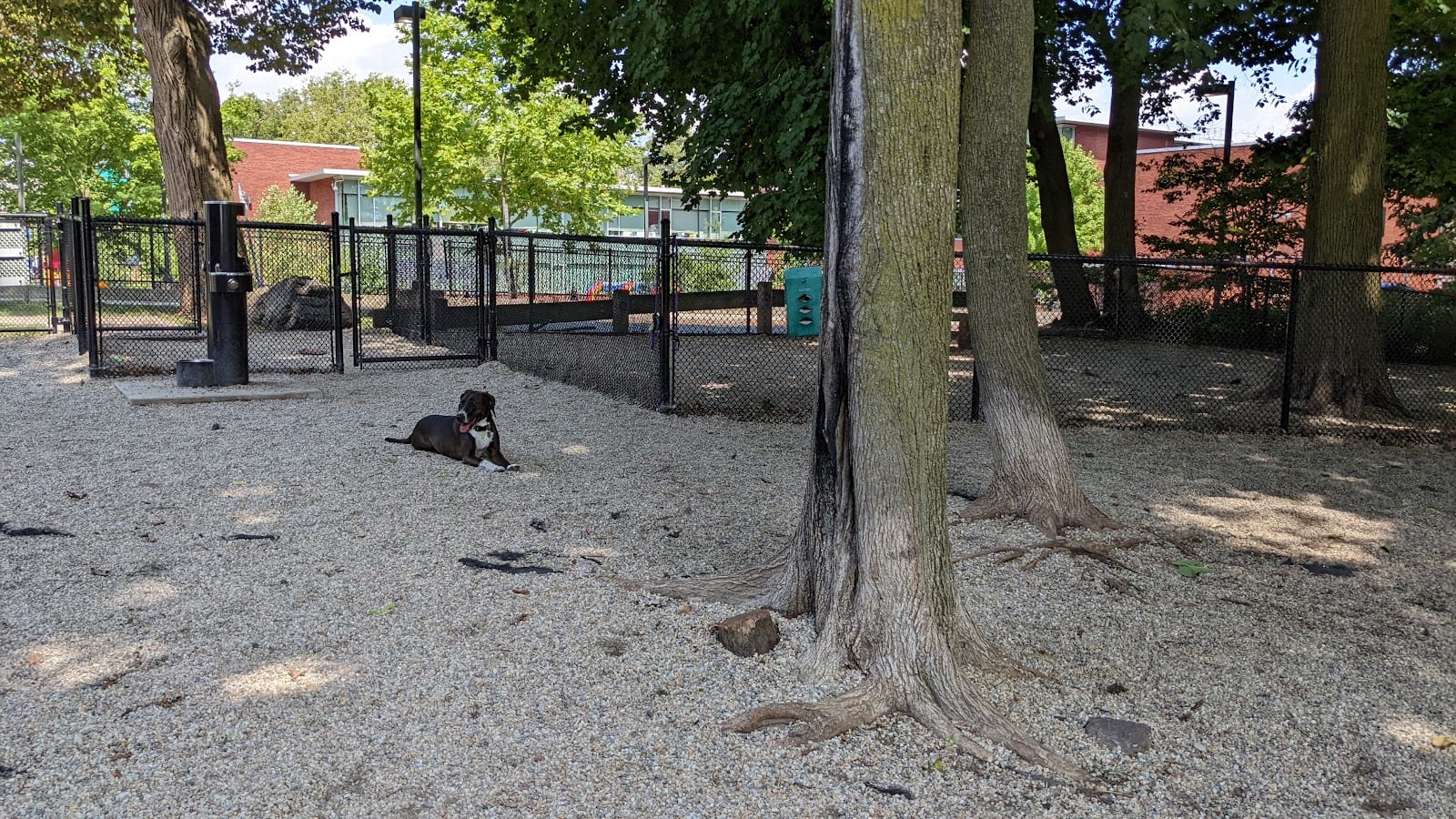 East Rock Dog Park