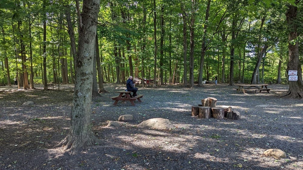 Hamden Dog Park, photo 3