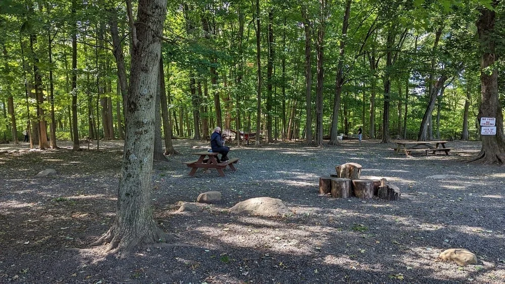 Hamden Dog Park, photo 3