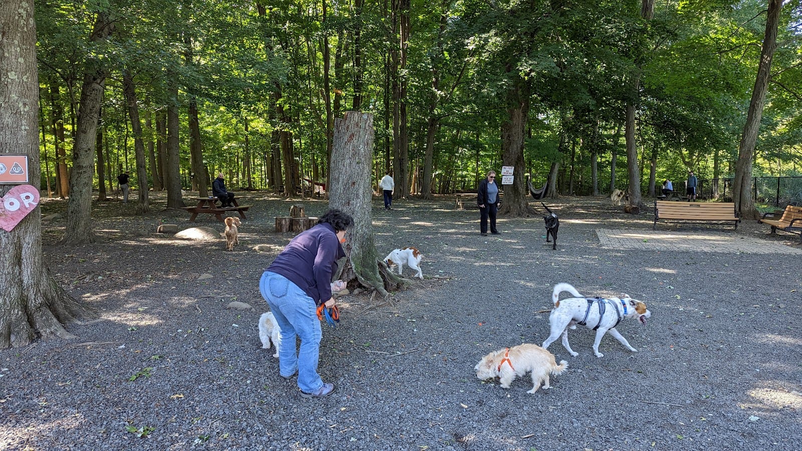 Hamden Dog Park