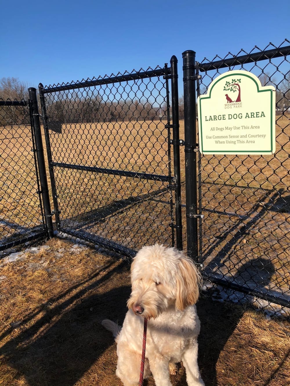Woodbridge Dog Park, photo 3
