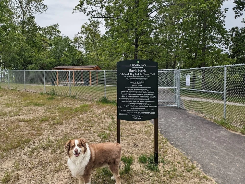 Bark Park & Nature Trail, photo 2