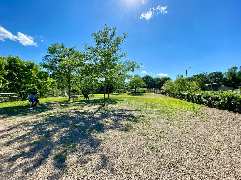 Carnegie Dog Park, photo 2