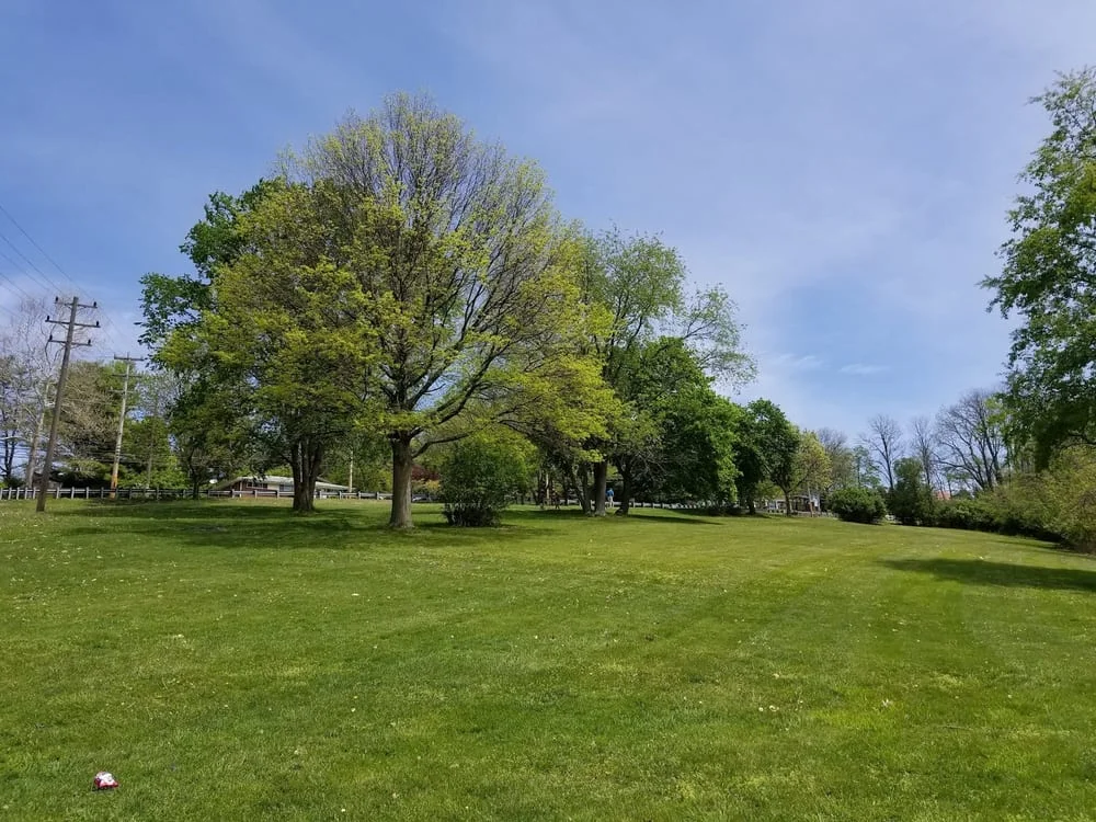 Carnegie Dog Park, photo 3