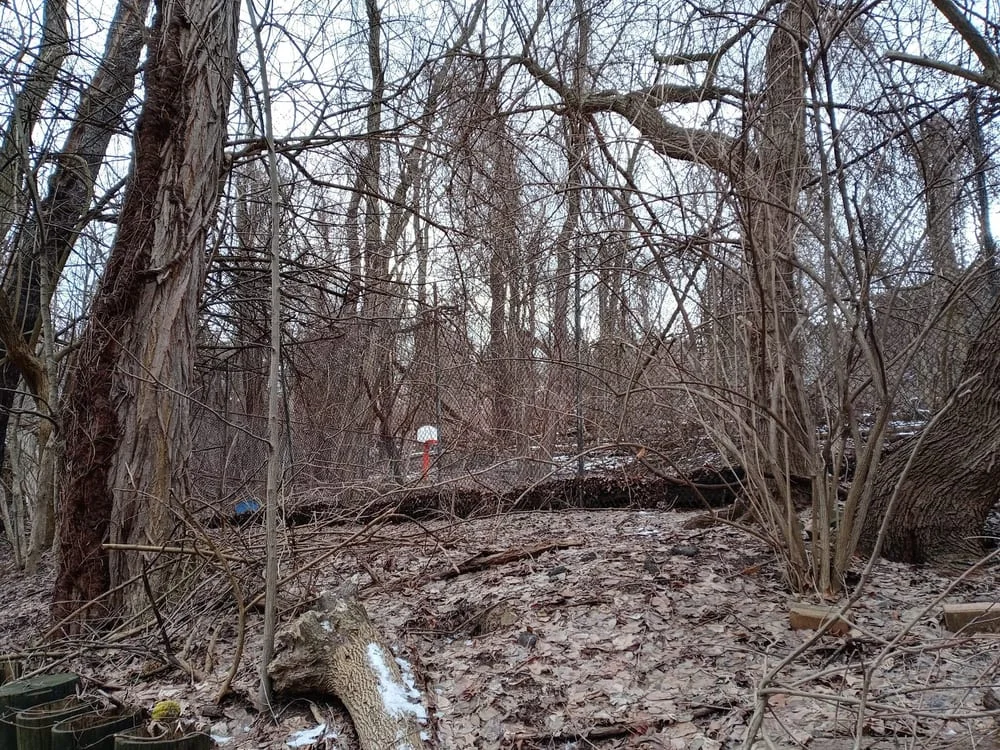 Dickson Dog Park, photo 2