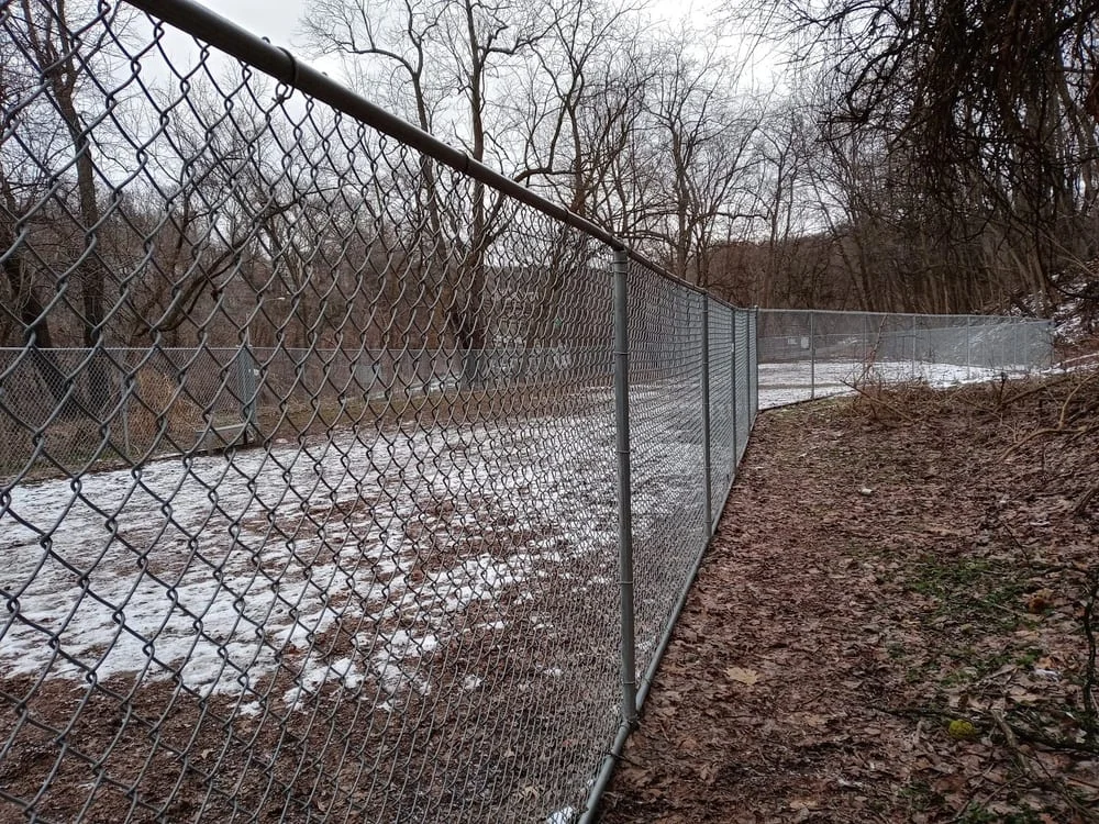 Dickson Dog Park, photo 3