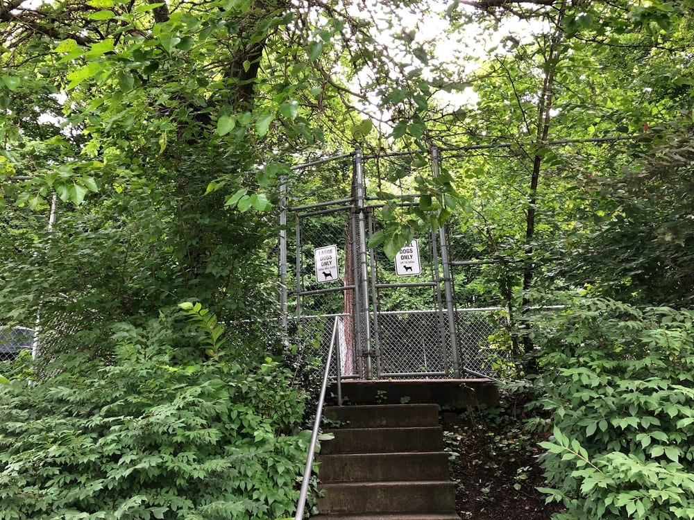 Dormont Dog Park, photo 2