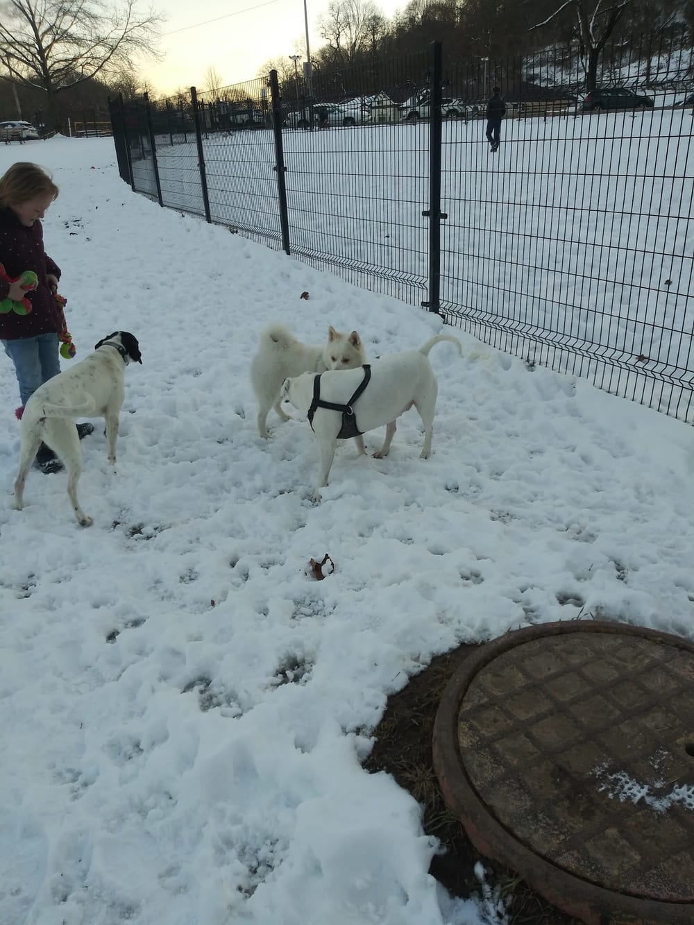 Highland Park, photo 2