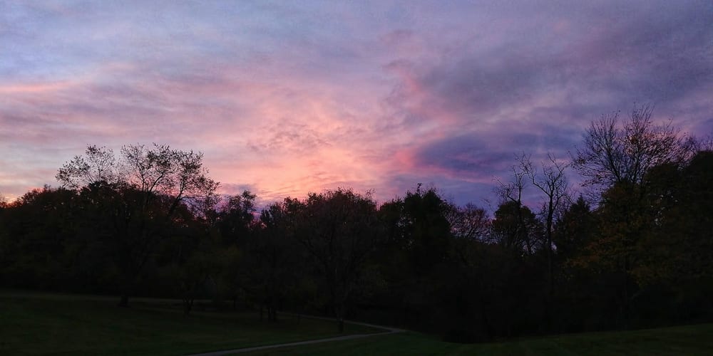 Monroeville Dog Park, photo 2