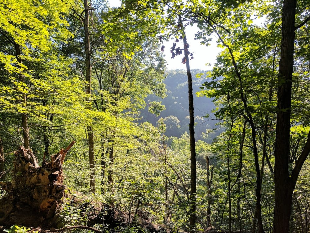 Riding Meadow Park, photo 2