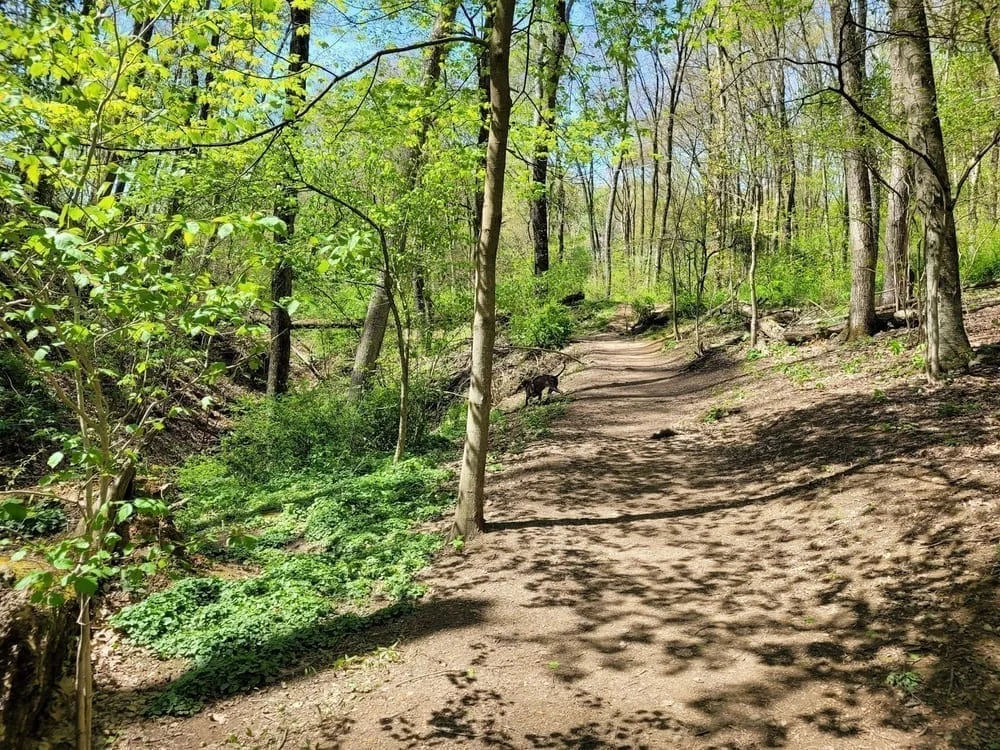 Riding Meadow Park, photo 2