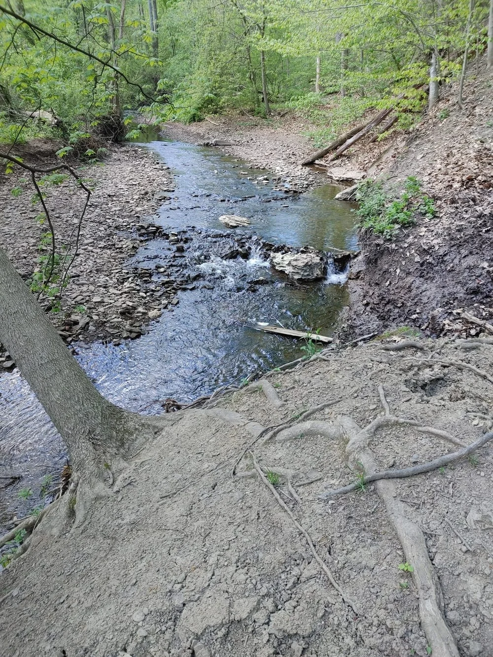 Riding Meadow Park, photo 3