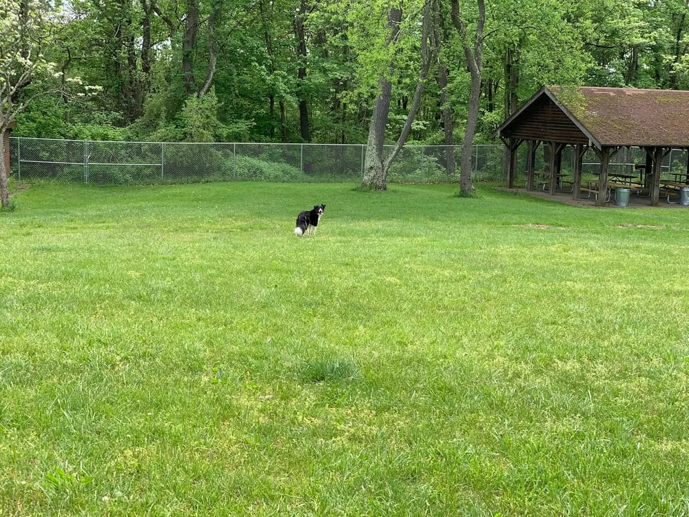 Settlers Cabin Dog Park, photo 2