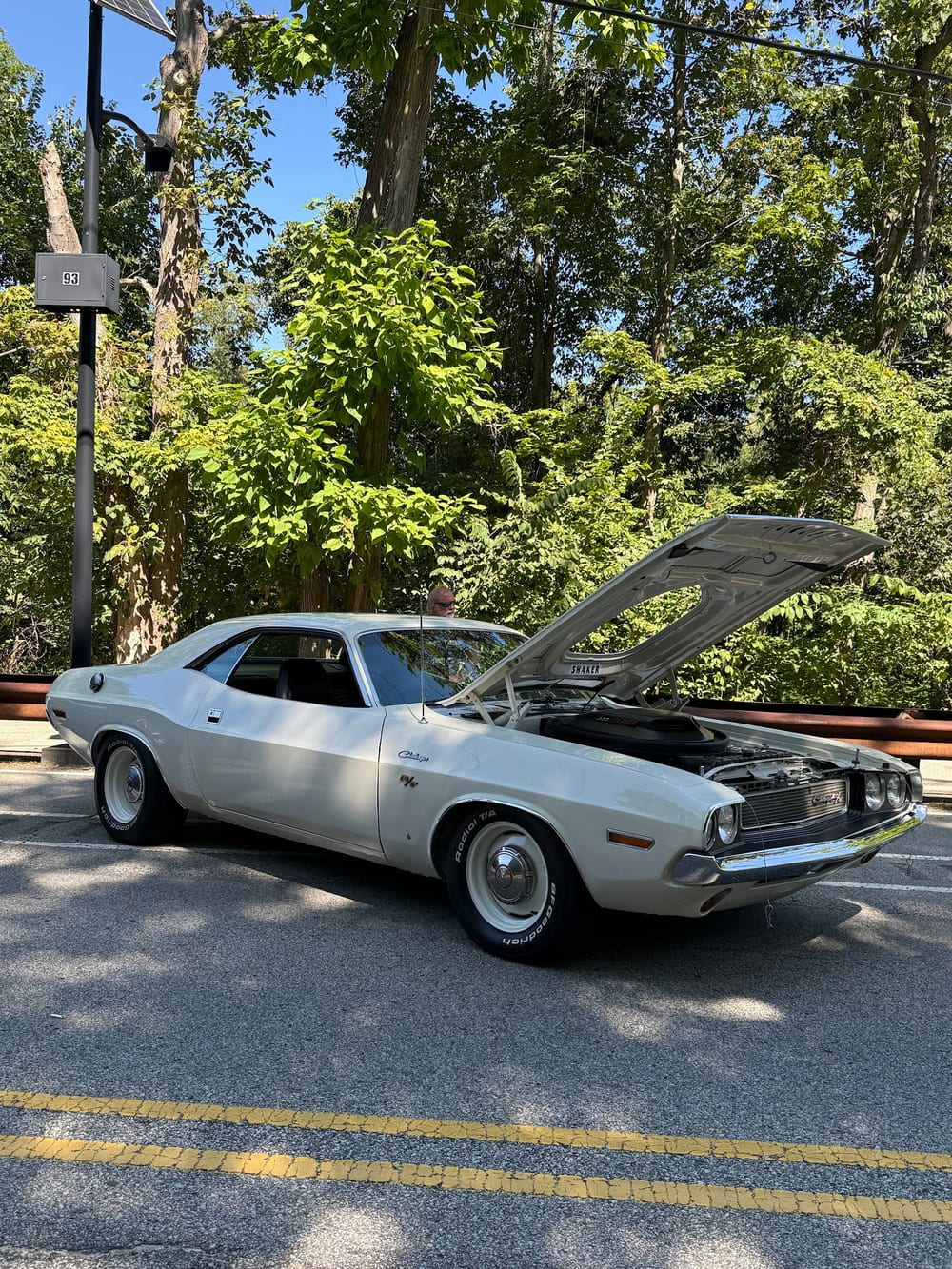 South Park Dog Park, photo 2